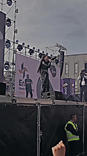 Mocking Bird 🕊️