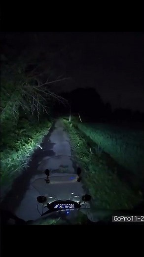 GoPro 11 Night Shooting: Flat -2.0, ISO 6400, LOGB 25, 1080p 60, 4000K – ProTune Makes Low-Light ...