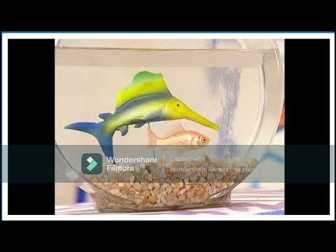 Elmo's World The Fish Song Low Pitch #elmosworld #chaoemperor