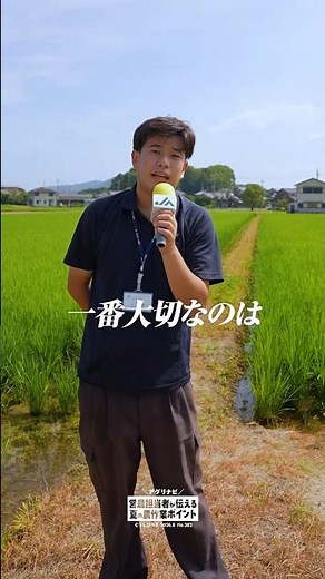 カメムシ対策編｜アグリナビ｜2026年8月号ぐりんぴ〜す #jaグリーン近江 #水稲 #カメムシ #病害虫対策 #草刈り