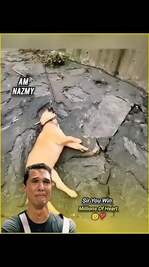 𝐂𝐡𝐞𝐜𝐤 𝐬𝐭𝐨𝐫𝐲 @rajuvhai_09_ 💦🥵 日本利用压电瓷砖将脚步转化为电能。这些瓷砖捕捉来自你脚步的动能。当你行走时，你的重量和动作会对瓷砖产生压力。瓷砖会轻微弯曲，从而产生机械应力。瓷砖内部的压电材料将这种应力转化为电能。每一步都会产生少量电荷，而数百万步结合在一起就能产生足够的电力来驱动LED 灯、数字显示屏和传感器。在像涩谷车站这样繁忙的地方，每天大约有240万个脚步为这一系统作出贡献。这些电能可以被储存或立即使用，从而减少对传统电力来源的依赖，并支持可持续的城市基础设施。这种方法将日常运动转化为实用的可再生能源 #日本​#知识​#事实​#你知道吗​ #推荐​ #科技​ #创新​ #历史​ #技术​ #实验​ #热门 | Amnazma