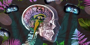 VR is as good as psychedelics at helping people reach transcendence