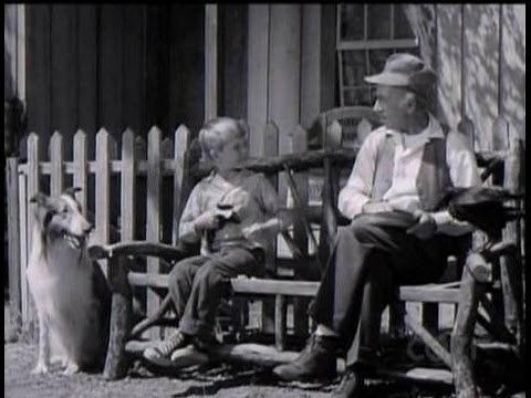 Lassie - Episode #222 - "Cully's New Pet" - Season 7, Episode 3 - 09/25/1960