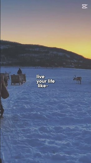 @Tromsø: The Secret Magic Trip You Never Knew About