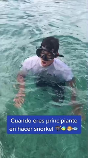 TUTORIAL SNORKEL 🤿🐠🐟🐡 #snorkeling #cancun #beach #adventures