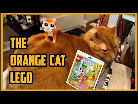 Lego Orange Cat Construction and Review | Chill Conversation