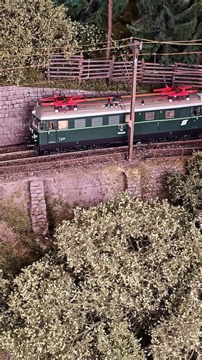 13K views · 417 reactions |  Die elegante Allrounderin der ÖBB. In klassischem Grün präsentiert sich die 1046 006 als Hommage an die frühen Jahre der österreichischen Elektrolokomotiven. Ursprünglich als Baureihe 4061 für den Wendezugdienst konstruiert, bewährte sie sich jahrzehntelang auf Haupt- und Nebenstrecken gleichermaßen. Ein Stück österreichische Eisenbahngeschichte – jetzt detailgetreu in H0 umgesetzt. #ROCO #ÖBB #Modellbahn #H0 #Modellbahnliebe | Roco.cc | Facebook