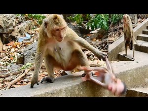 OMG...Unreliable Mom GONDA Attack And Fighting Poor Baby , So Pity Baby CONGA Got Pain