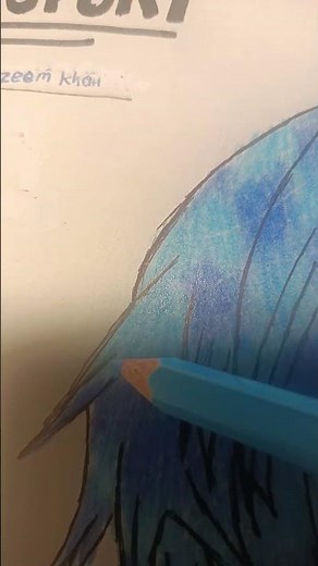 how to draw todoroki