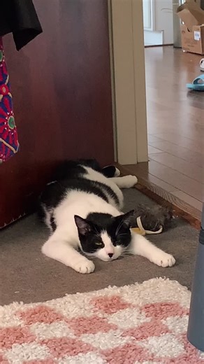 i wanted to try this auto sync thing :3