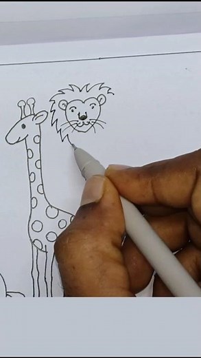 Animal drawing, how to draw animals , zoo drawing