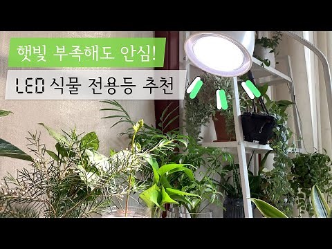 Grow Light for Houseplants💡✨ My LED grow light setup with IKEA stand! (pros&cons)