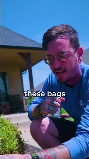 What Bagworms Do to Your Yard!