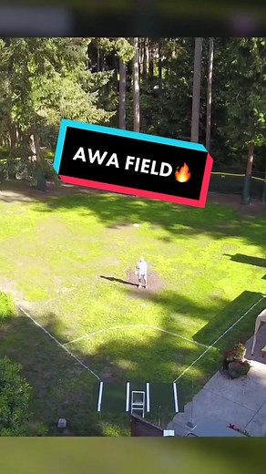 Building a Wiffle Ball Stadium in a Backyard🤯 #dingersornothing #wiffleball #foryou