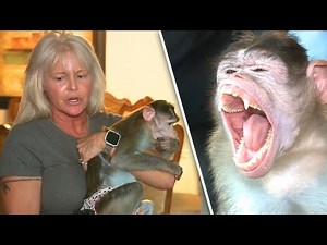 Woman Fights to Keep Emotional Support Monkeys