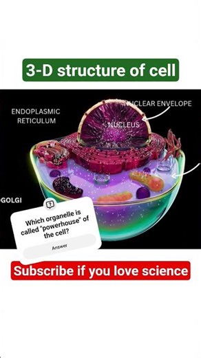 Cell- The basic unit of life #science