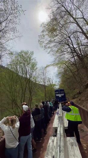 Spring Eagle Tours: Discover Bald Eagles in Appalachia