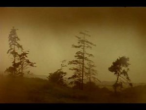 MADRE E FIGLIO (Mat i syn) film del 1997 del regista russo Aleksandr Sokurov. CAPOLAVORO. Sub. ITA