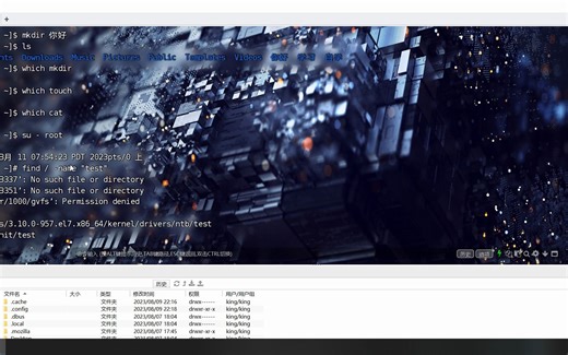 查询命令which与find