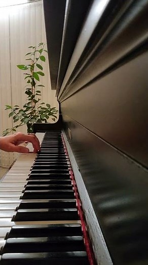 Clementine Traditional song