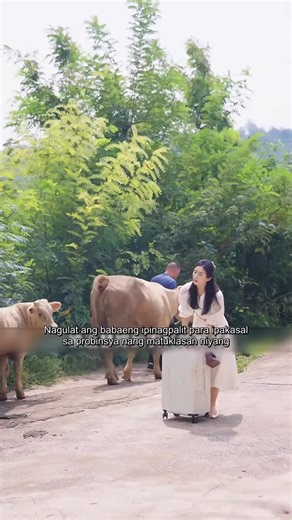 Isang Sako ng Ginto: Kwento ng Pag-ibig at Yaman