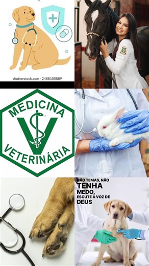 Sonhooo😍👑#medica #medicinaveterinaria #sonho #medicinaveterinária #2026