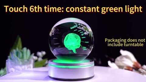 Brain Gifts for Neurologist, Laser Ethced Human Brain Anatomical Model 3D Crystal Ball, Brain Surgery Gifts for Doctors, Physiology Graduation Gifts for Medical Students for Christmas