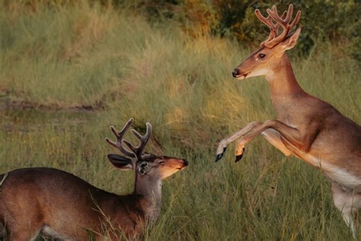 ANALYSIS: The new three-tier hierarchy in global advertising - AdNews