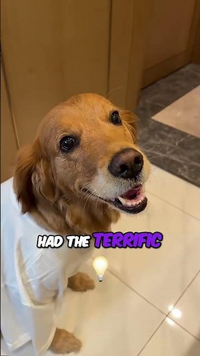 DOG POOP SERVANT!🫣