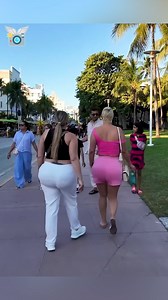 Walking Tour: Miami, Florida, USA 🌴 | The Traveling Camera