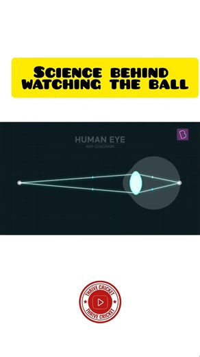 Watch the Ball = Better Shots? 🏏 Science Explained!
