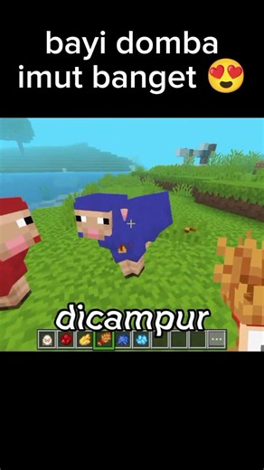 Momen Bayi Domba Minecraft