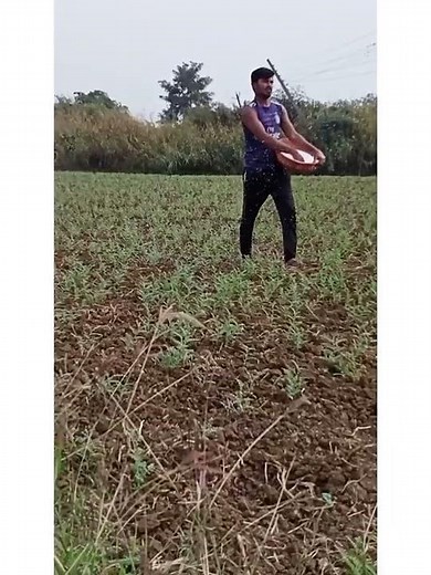 Fertilizer application by Broadcasting method ☑️
