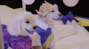 You and Me...and puppies! #NationalDogDay #DOGscendants2 | Disney Descendants