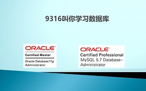 「005」数据库的分类有哪些？各自的优缺点？_下