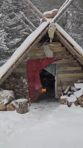 1.4M views · 10K reactions | Making shelter and survial tips #solobushcraft #bushcraft #building #dugout #survival #survivalskills #shelter #camp #camping #tips #coke #pepsi #fun #enjoy #reels #fyp | Jamie best shelter | Facebook