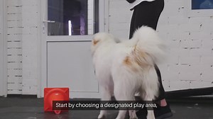 Securing Pet Play Areas