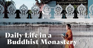 In this video, Ajahn Amaro takes you on a fascinating journey into the daily routine of a Buddhist monastery, offering a unique glimpse into the lifestyle and practices of the monks who call it home. | Study Buddhism