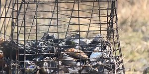 Fire officials warn of wildfire risk due to dry conditions and lower humidity levels