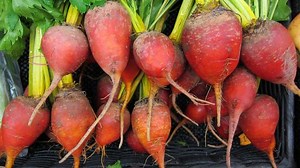 Beetroot strengthens heart health, improving blood pressure and athletic performance - Conservative News & Right Wing News | Gun Laws & Rights News Site
