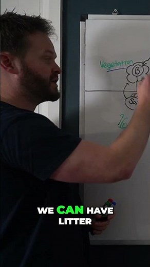 Terrestrial Biosphere Photosynthesis and Carbon Cycle Explained