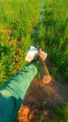 Dil lagana mana tha Inew bhojpuri status 2026|#ytshorts #youtubeshorts #bhojpuri