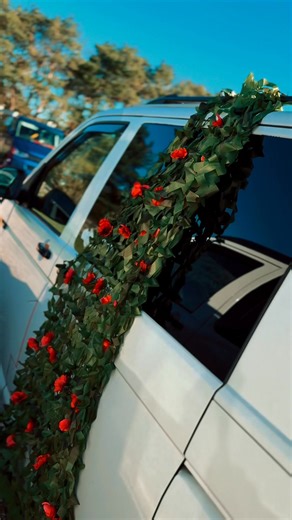 2.8K views · 83 reactions | Our club remembers  | Tom Split Drinks | Facebook