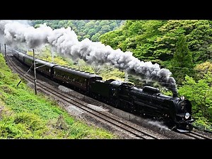 【C61 20】新緑のSLぐんまみなかみ【旧型客車】JR East Joetsu Line SL Gunmaminakami JNR Class C61