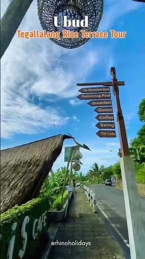 Tegallalang Rice Terrace Ubud Bali 🌾 | Bali Swing & Stunning Views | Bali Travel Guide #travelreels