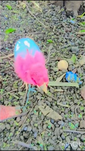 cute checks 💥🐔😈🙏