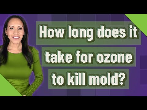 How long does it take for ozone to kill mold?