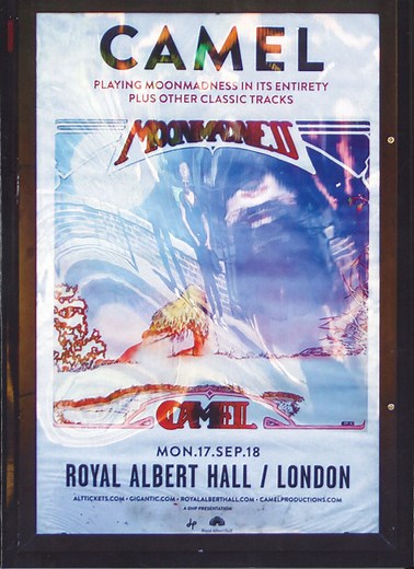Camel - Live At The Royal Albert Hall