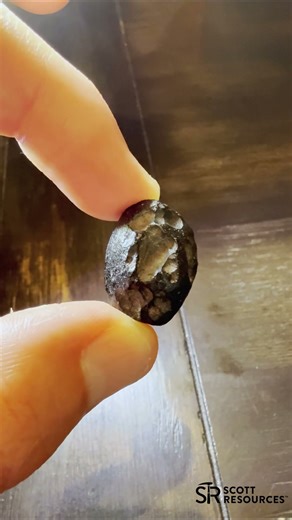 Libyan Desert Glass and Black Tektite