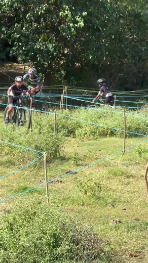 Understanding Cat Behavior with P-8 Training Techniques